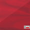 Poland Soccer Flag Wii Remote Controller Skin